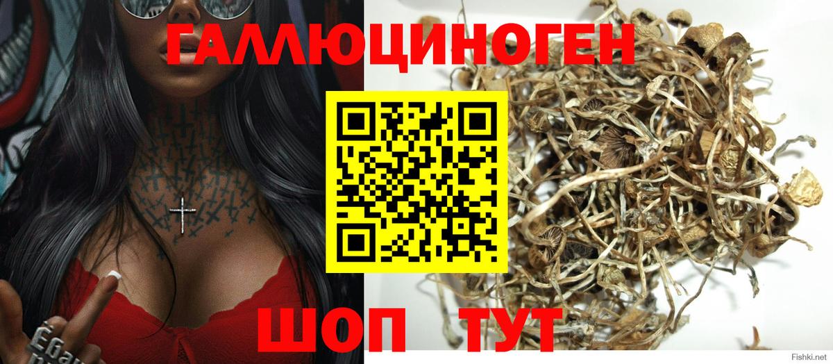 Галлюциногенные грибы Cubensis Ставрополь