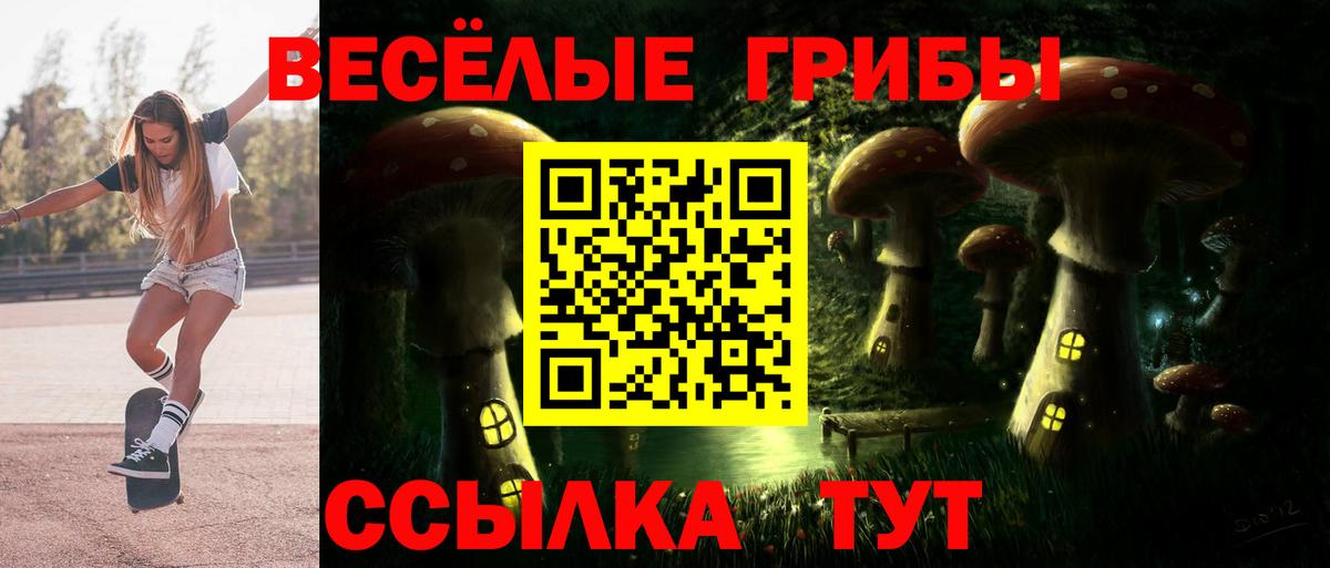 Галлюциногенные грибы Magic Shrooms  Вход с VPN  Ставрополь 